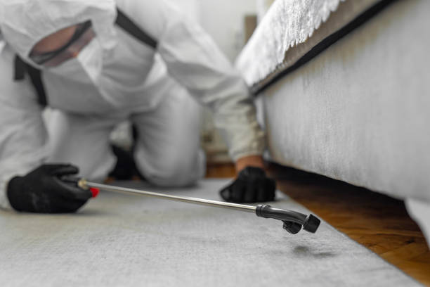 Professional Termite Control technician working in Somers, MT