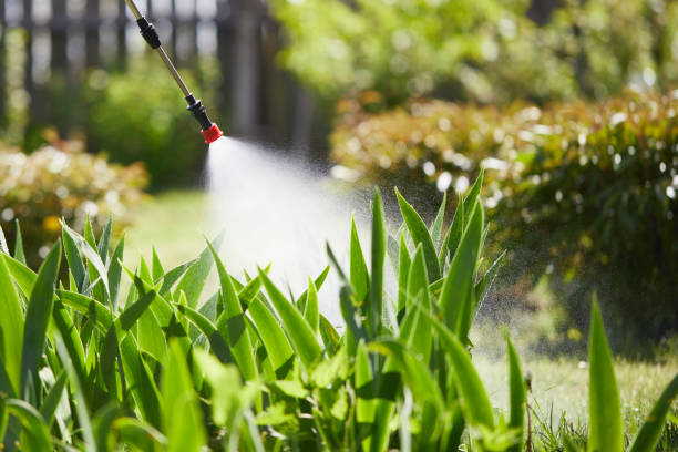 24/7 Emergency Termite Control experts in Somers, MT
