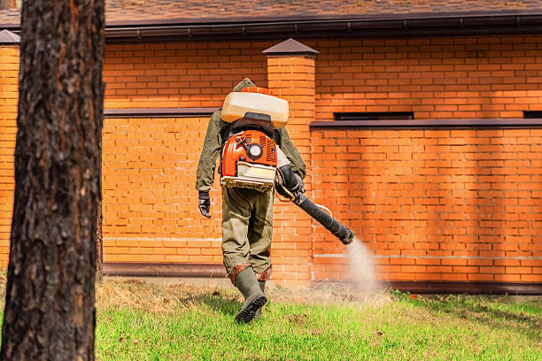 Top rated local Termite Control specialists in Somers, MT